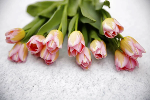 Ramo de primavera de tulipanes Foto — Foto de Stock