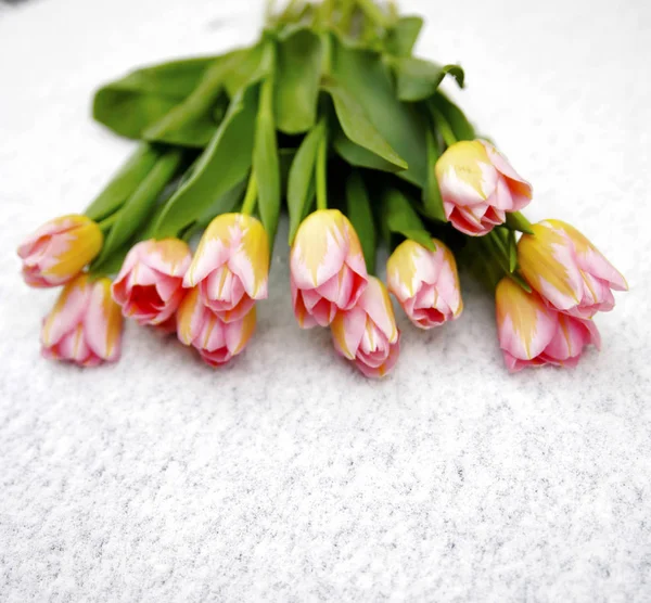 Spring bouquet of tulips Photo — Stock Photo, Image