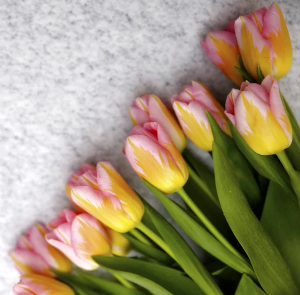 Ramo de primavera de tulipanes Foto — Foto de Stock