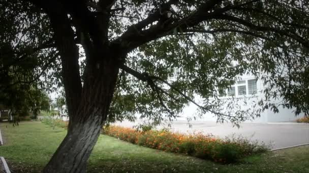 Un homme pend un nichoir dans la cour de l'école — Video