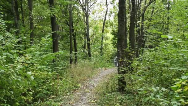 Run young man in green forest — Stock Video