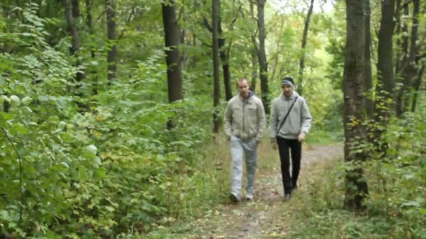 Lopen van vrienden in het bos — Stockvideo