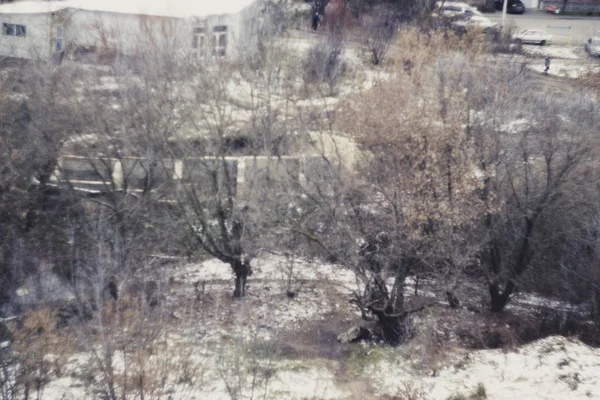 Záhadné temné podzimní les v mlze se silnice, stromy a větve . — Stock fotografie