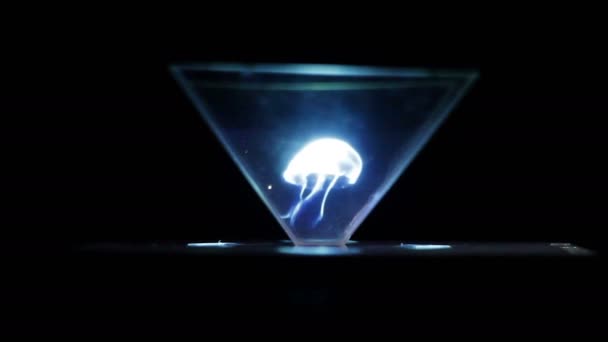 Unglaublich schönes bewegendes Hologramm — Stockvideo