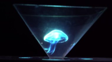inanılmaz güzel hareketli hologram