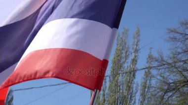 Birleşik Arap Emirlikleri rüzgarda sallayarak bayrak. Döngü. Kumaş detayları