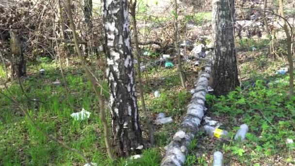 Verter basura en el bosque, contaminación ambiental, soleado prado de verano — Vídeo de stock