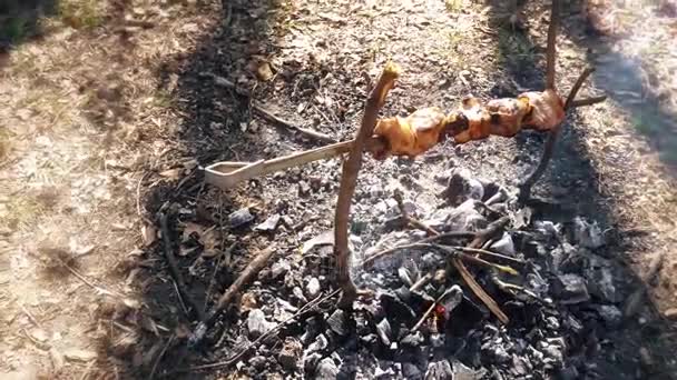 Shish kebab en feu, une belle composition — Video