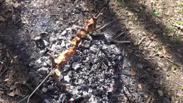 Shish kebab en feu, une belle composition — Video