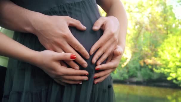 Manos acariciando la barriga embarazada. Maridos manos acariciando el vientre de su esposa embarazada. Sol suave al atardecer ilumina la escena — Vídeos de Stock