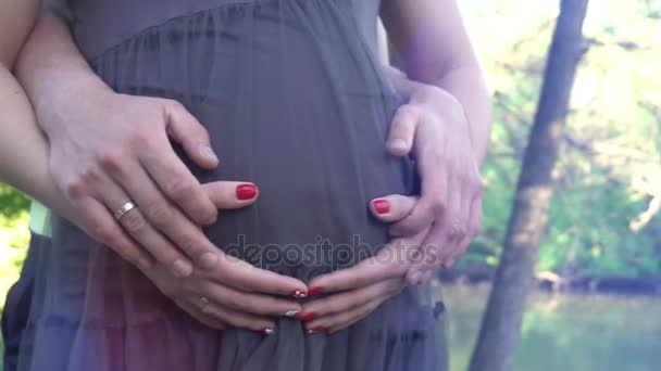 Руки гладят беременный живот. Мужья гладят руки беременной жены. Мягкое солнце заката освещает сцену — стоковое видео