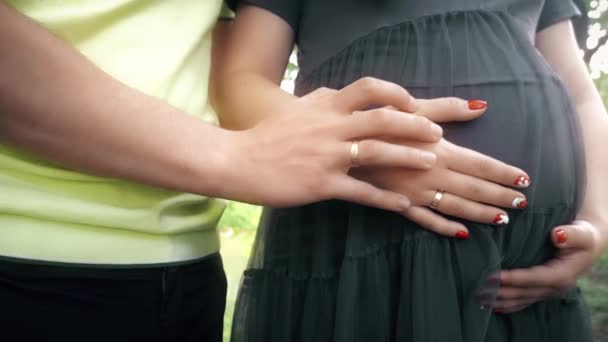 Hands stroking pregnant belly. Husbands hands stroking belly of his pregnant wife. Soft sunset sun illuminates the scene — Stock Video