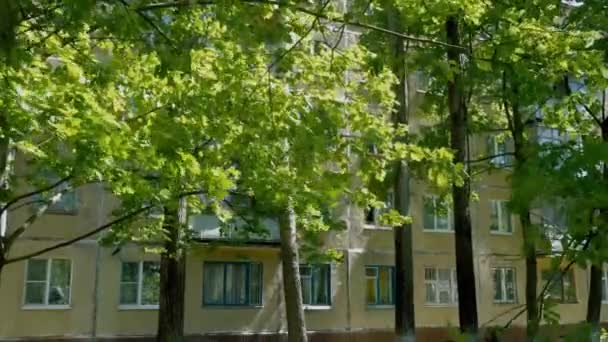 Rüzgara karşı evin içinde ağaçlar — Stok video