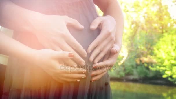 Mãos a acariciar a barriga grávida. Maridos mãos acariciando barriga de sua esposa grávida. Sol suave ilumina a cena — Vídeo de Stock