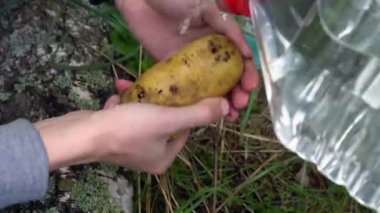 genç bir adamın ellerini yıka patates açık havada, su şişesi