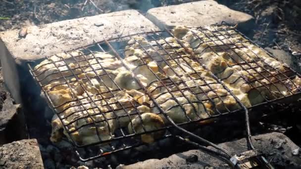 Spetten i grillen — Stockvideo