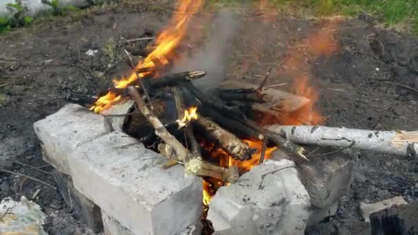 Quema de leña en la chimenea — Vídeo de stock