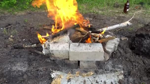 Bruciare la legna nel camino — Video Stock
