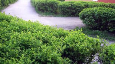 Şehir Parkı, sokakları ve sonbahar ılıman iklim bölgesinde şehrin sokakları