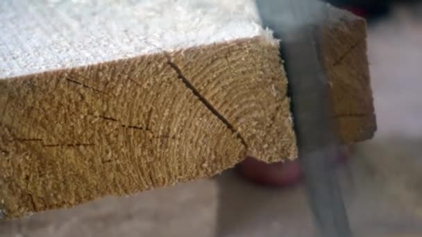 Trabajar con una sierra de mano aserrando una tabla de madera — Vídeo de stock