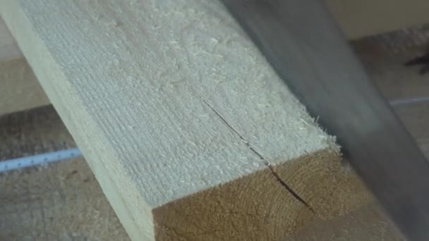 Travailler avec une scie à main scier une planche en bois — Video