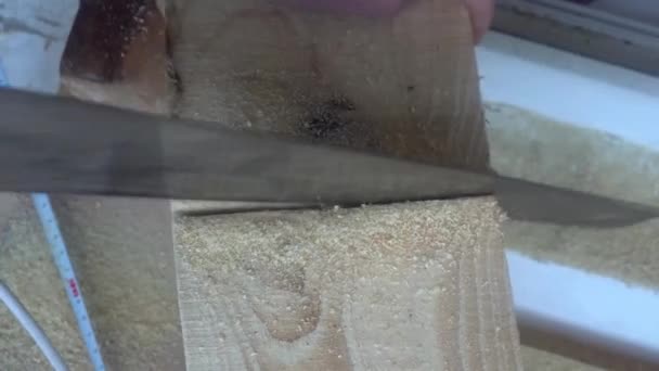 Trabajar con una sierra de mano aserrando una tabla de madera — Vídeo de stock