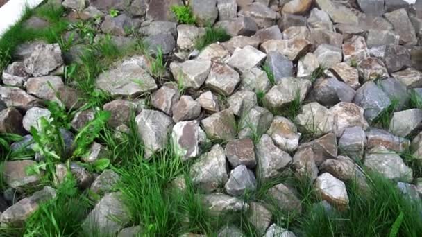 Piedras decorativas grandes y pequeñas en el callejón — Vídeo de stock