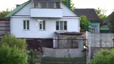 Yeşil orman, longshot arka plan üzerinde uçan kuş