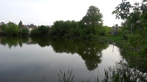 Lagoa bonita na floresta, árvores verdes, pássaros — Vídeo de Stock