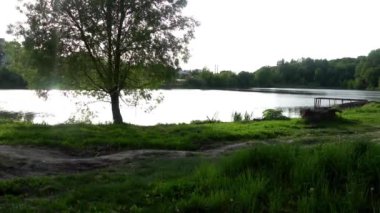 woods, yeşil ağaçlar, kuşlar güzel gölet