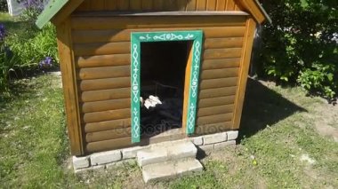 kulübe oyun çocuklar için