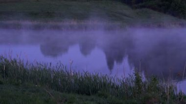 güzel, hareketli sabah sis Nehri