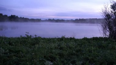 güzel, hareketli sabah sis Nehri