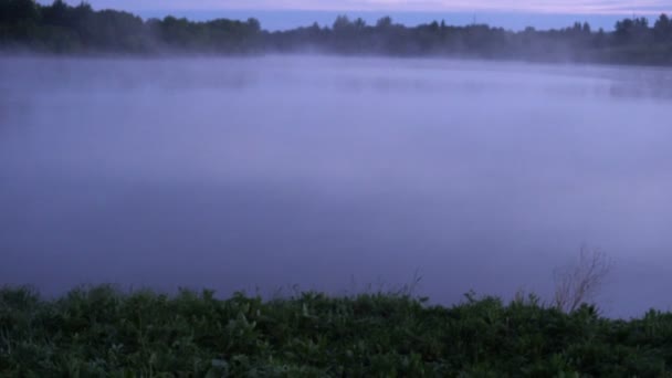 Een prachtige, bewegende ochtendnevel over de rivier — Stockvideo