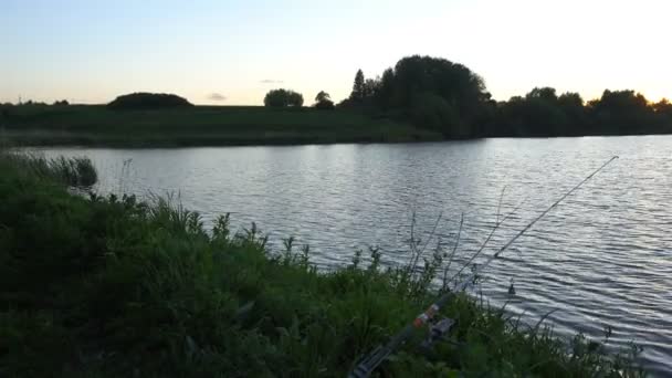 Pesca poste a la espera de peces para morder el cebo — Vídeo de stock