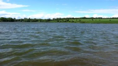 manzara, arka plan ağaçlarında uzun otların önünde Nehri üzerinde dalgaların