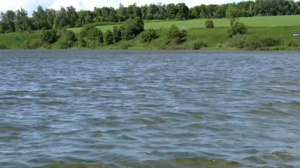 El paisaje, las ondulaciones en el río, frente a la hierba alta, en los árboles de fondo — Vídeos de Stock