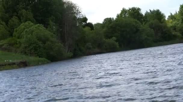 Vlucht over mystieke rivier met mooie hemel — Stockvideo