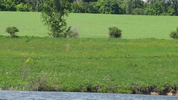 Volo sul fiume mistico con un bel cielo — Video Stock