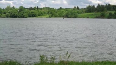 manzara, arka plan ağaçlarında uzun otların önünde Nehri üzerinde dalgaların