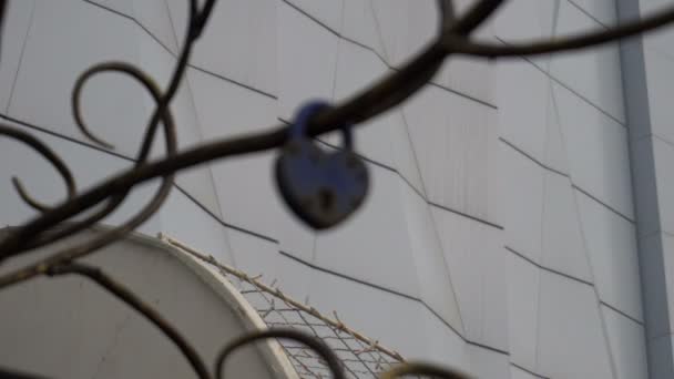 La cerradura en forma de corazón colgando de un árbol artificial de metal amantes — Vídeos de Stock