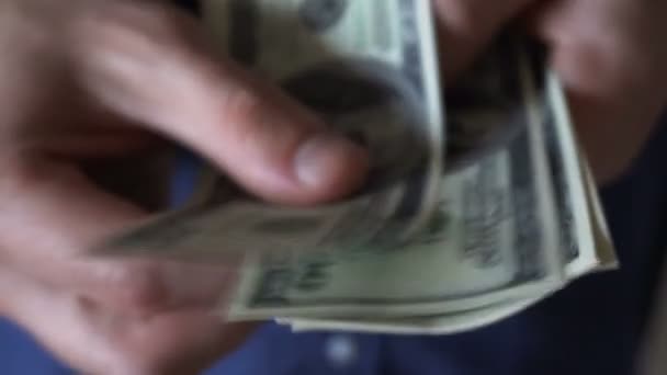 Young business man counts hundred dollar bills — Stock Video