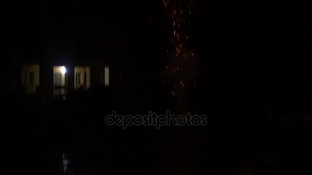 Beau spectacle de feux d'artifice dans le ciel nocturne 