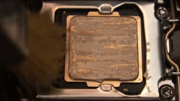 Processus de nettoyage puce cpu puce par la brosse macro 4K — Video