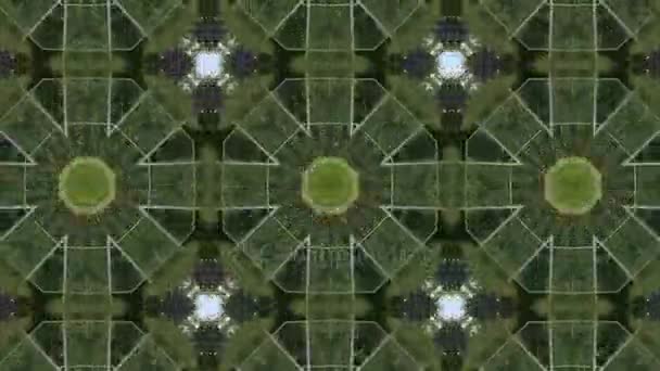 用一只手的抽象动画绘制几何万花筒模式 — 图库视频影像