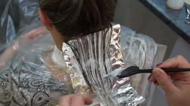 Woman at the hairdresser,hair stylist dyes her hair — Stock Video