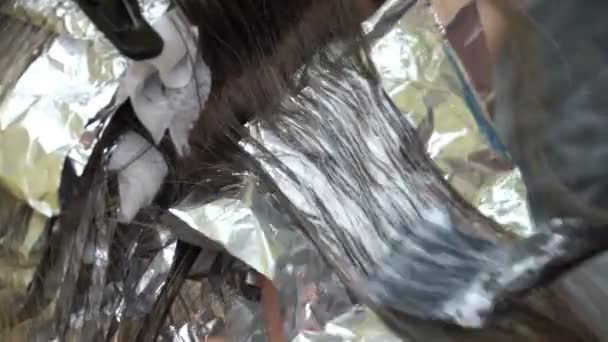 Жінка в перукарні, стиліст фарбує волосся — стокове відео