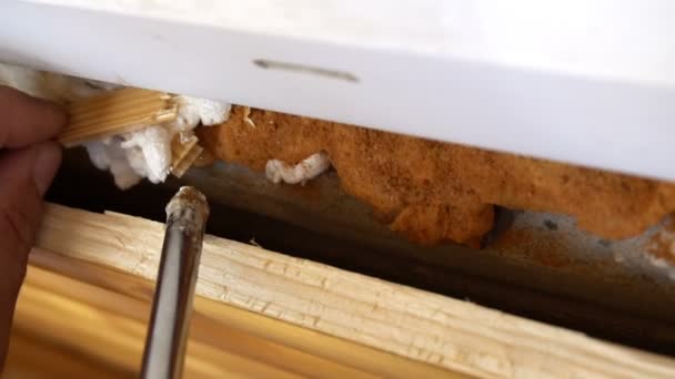 Nozzle of construction gun fills space under window frame by polyurethane foam or with mounting busa — Stok Video