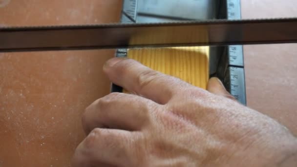 Serrar trabalhador com uma serra, a barra de madeira — Vídeo de Stock