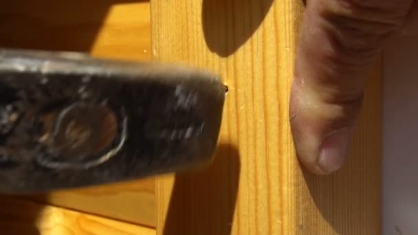 Detail eines Arbeiters mit Nagel und Hammer — Stockvideo